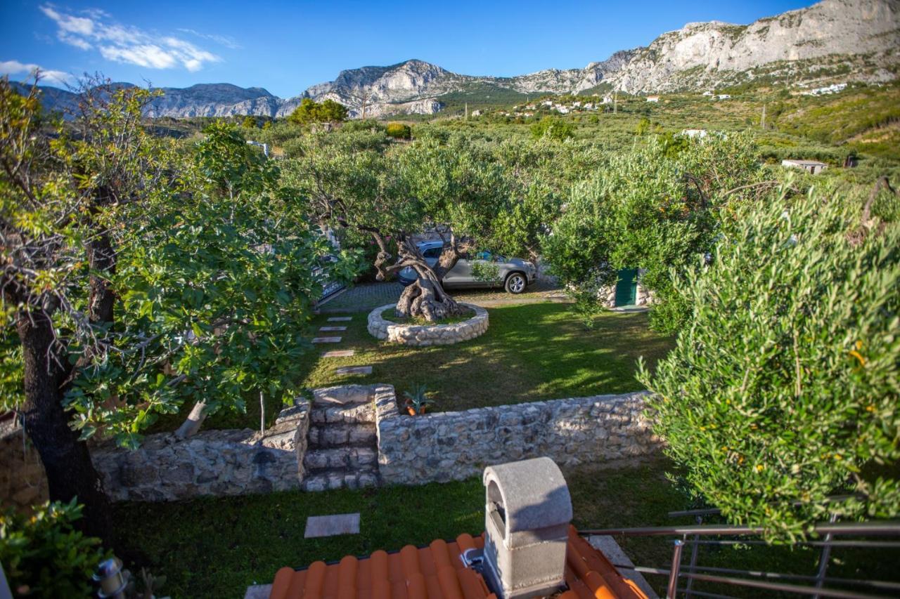 Villa Old Olive, 3Lovelyvillas Podgora Buitenkant foto